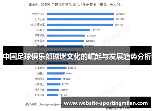 中国足球俱乐部球迷文化的崛起与发展趋势分析